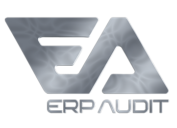 Erp Audit
